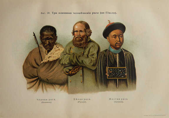 Сикорский И.А. Всеобщая психология с физиогномикой в иллюстрированном изложении. Киев, 1904.